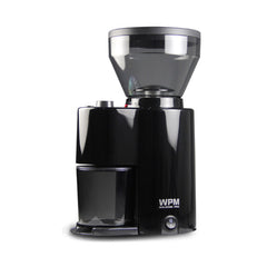 Gaggia Viva Deluxe & Free WPM ZD 10 Grinder